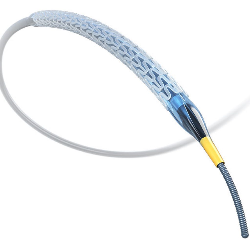 Fantom Sirolimus-Eluting Bioresorbable Scaffold